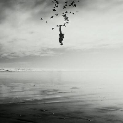 天博官网新版app下载安装教程