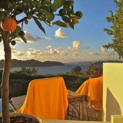 乐鱼app官网正式版下载