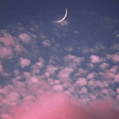 国内最大竞彩跟单APP